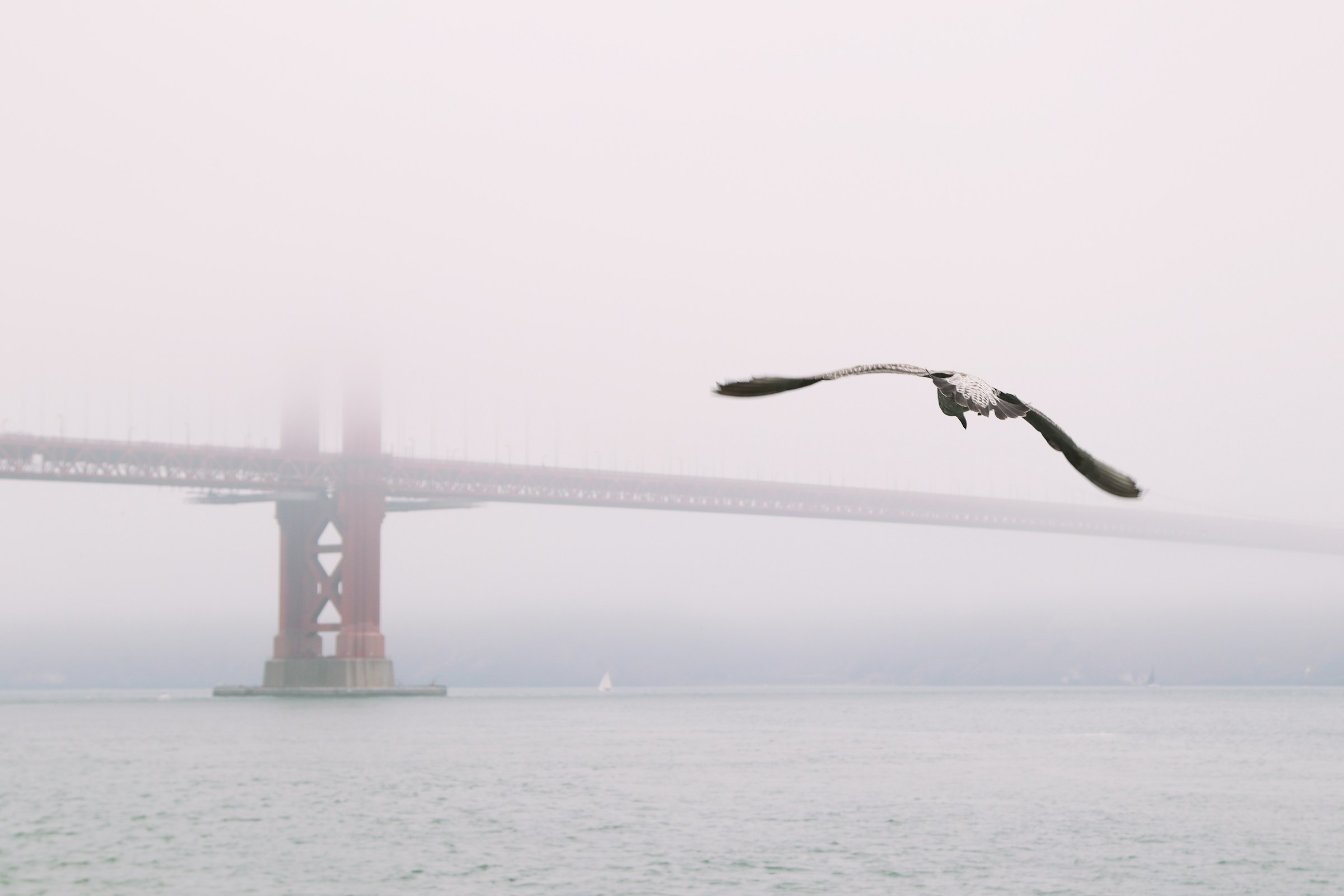 photo by Luca Zhou